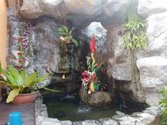 WhatsApp Image 2020-01-03 at 18.31.42